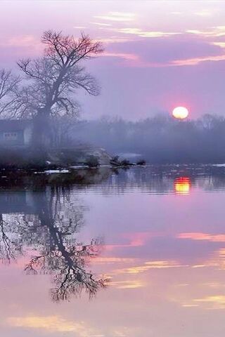 Serene Dawn: A Pink Mor..