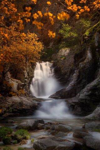 Autumn's Cascade: Nature's Serenity