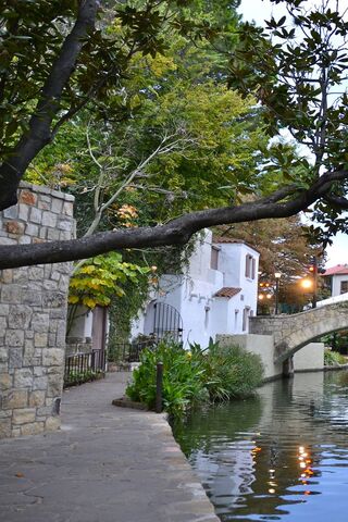 Strolling Serenity: The Charm of River Walk 🌳🌊
