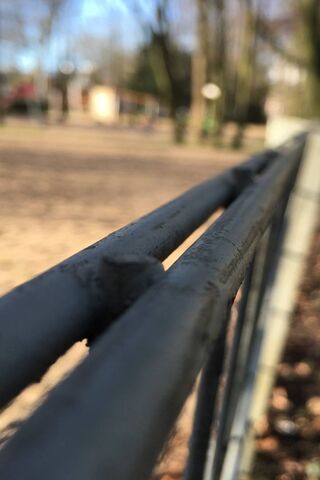 Guardians of the Playground: A Fence's Tale