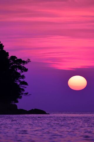 Twilight Bliss: A Sunse..