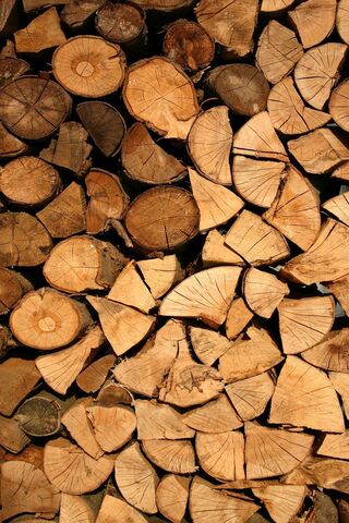 Nature's Warmth: A Stack of Logs 🔥🌲