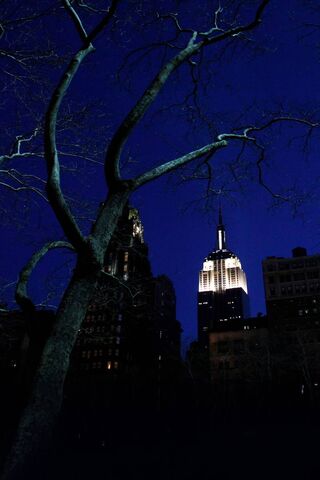 Twilight Majesty: The Empire State at Dusk 🌆✨