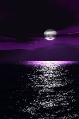 Noche púrpura