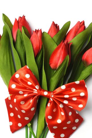 Red Tulips