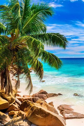 Paradise Found: A Tropical Escape 🌴🌊