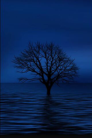 Whispers of the Blue Ni..