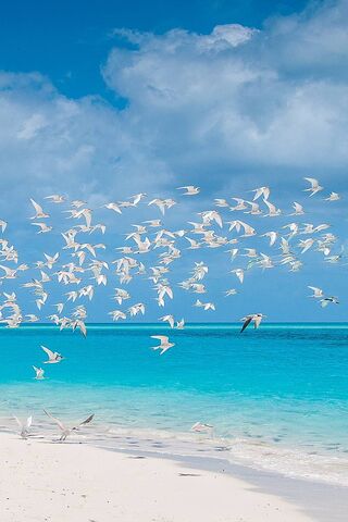 Heavenly Escape at Paradise Beach 🌴✨