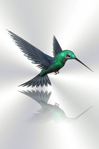 Dancing Jewel: The Hummingbird's Grace 🌟