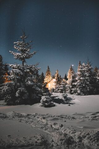 Whispers of a Frosty Night ❄️🌌