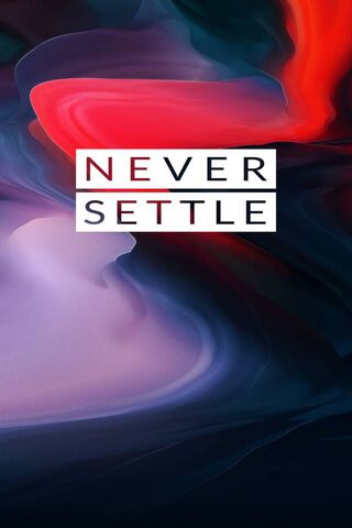 Embrace the Journey: Never Settle for Less! 🚀