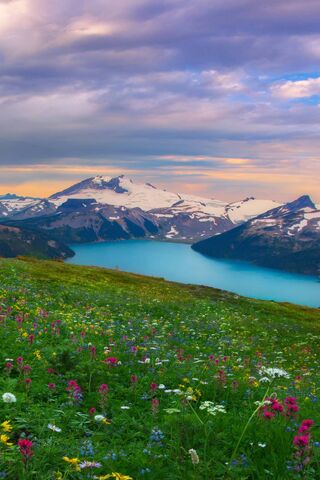 Serenity in Bloom: A Mo..