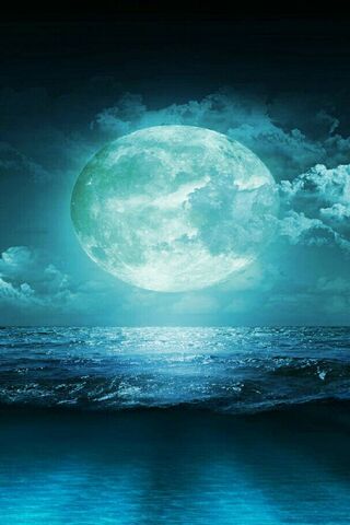 Moonlit Serenity 🌙🌊