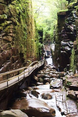 Nature's Majestic Pathway: The Flume Gorge Adventure 🌲💧