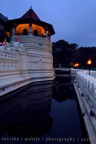 The Serene Beauty of Sri Dalada Maligawa at Dusk 🌅