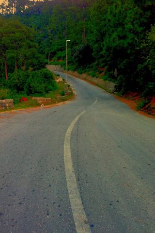 Winding Path to Adventure 🌲🚗