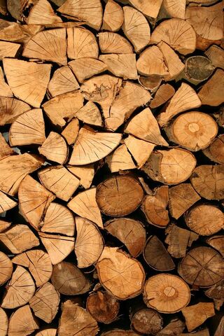 Nature's Warmth: A Stack of Logs 🔥🌲