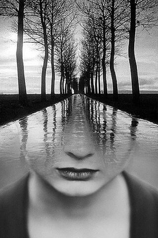 Reflections of Serenity