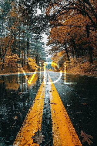 Autumn Reflections on Mdl Wpp Road 🍂🚗