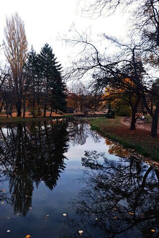 Serenity by the Water: A Nature Escape 🌳💧