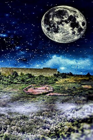 Luminous Night: The Enc..