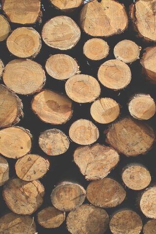 Firewood