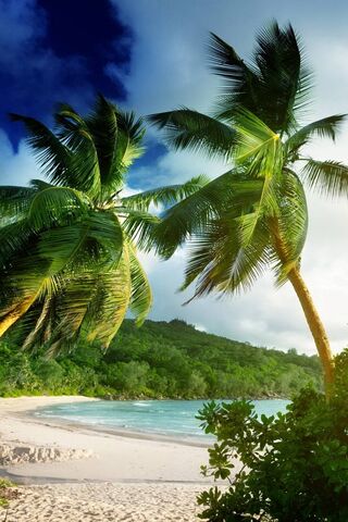 Тропический рай