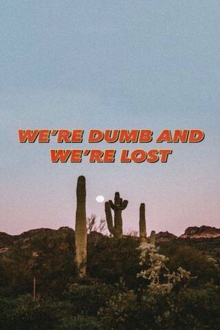 Wandering in the Desert of Confusion 🌵🌙