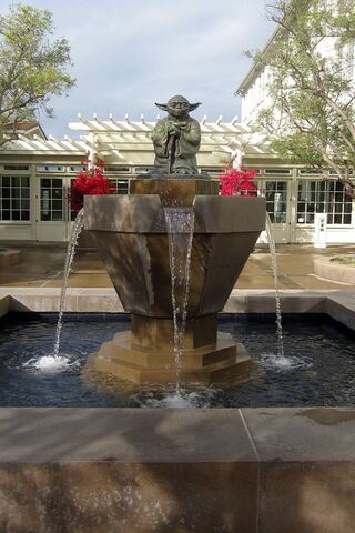 The Force of Tranquility at Skywalker Ranch 🌌✨