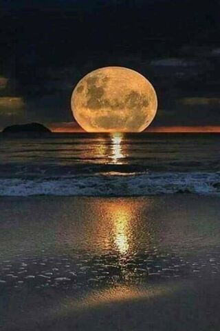 Moonlit Serenity: Hilton Head's Supermoon Magic 🌕✨