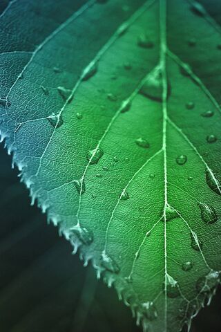 Nature's Infinite Beauty 🌿✨