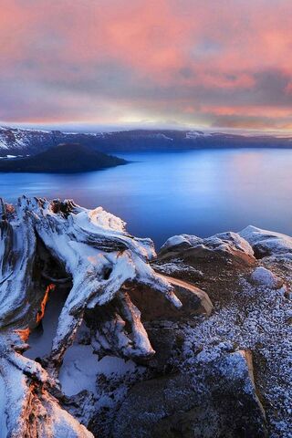 Frozen Serenity: A Dance of Ice and Blue