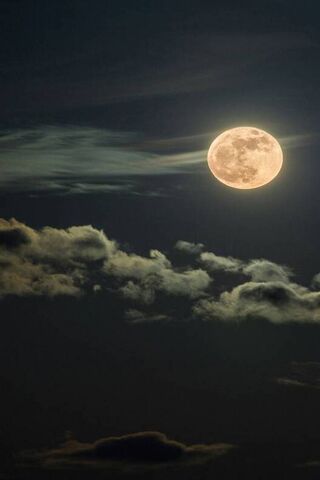 Notte di luna