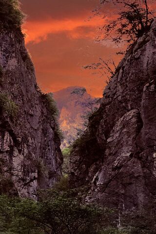 Sunset Serenity in the Wild 🌄