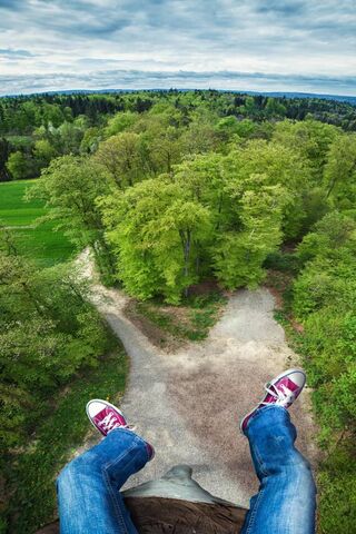 Aerial Adventure: Nature's Embrace 🌳✨