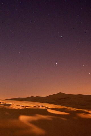 Whispers of the Desert ..
