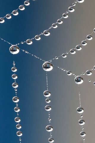 Glistening Nature's Jewels ✨