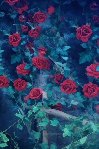 Roses