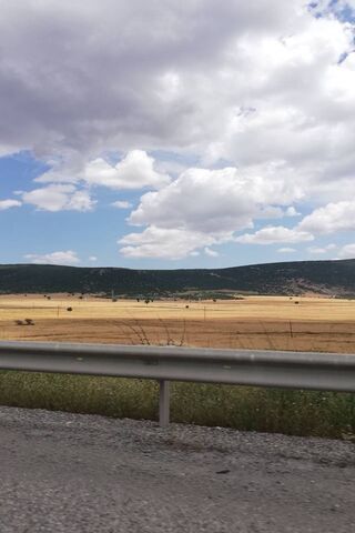 Journey Through Golden Fields 🌾🚗