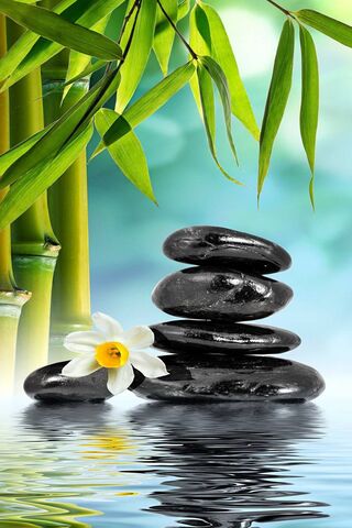Tranquil Reflections: N..