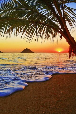 Sunset Serenity at Trop..