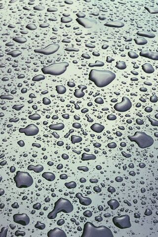 Raindrop Symphony: Nature's Art