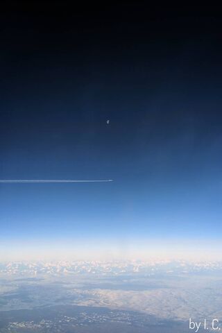 The Alignment