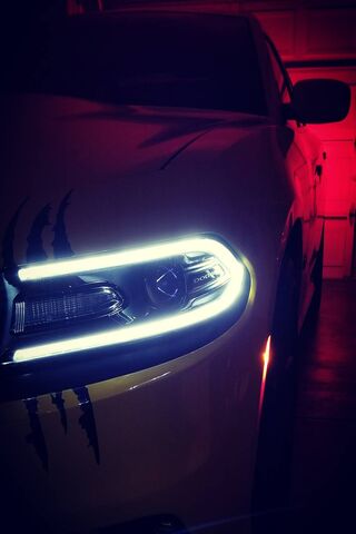 Dodge: The Beast Awaits 🐾