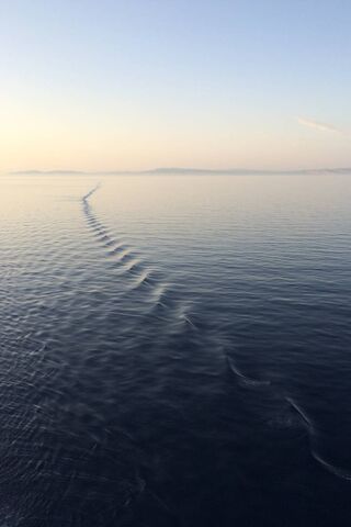 Wake