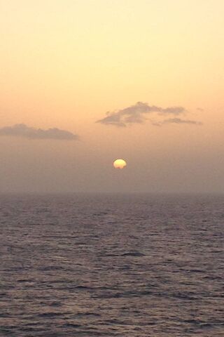 Tropical Twilight: A Serene Farewell to the Day 🌅