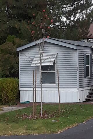 A Charlie Brown Fall