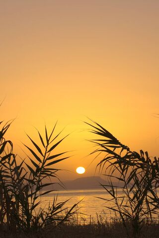 Golden Horizons: A Crete Sunset 🌅
