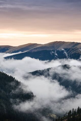 Mystical Mists of the Romanian Mountains 🌄☁️