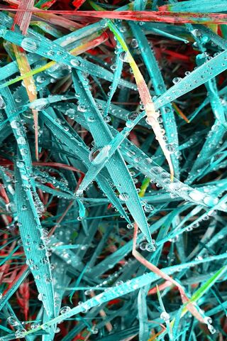 Nature's Crystal Symphony 🎶💧